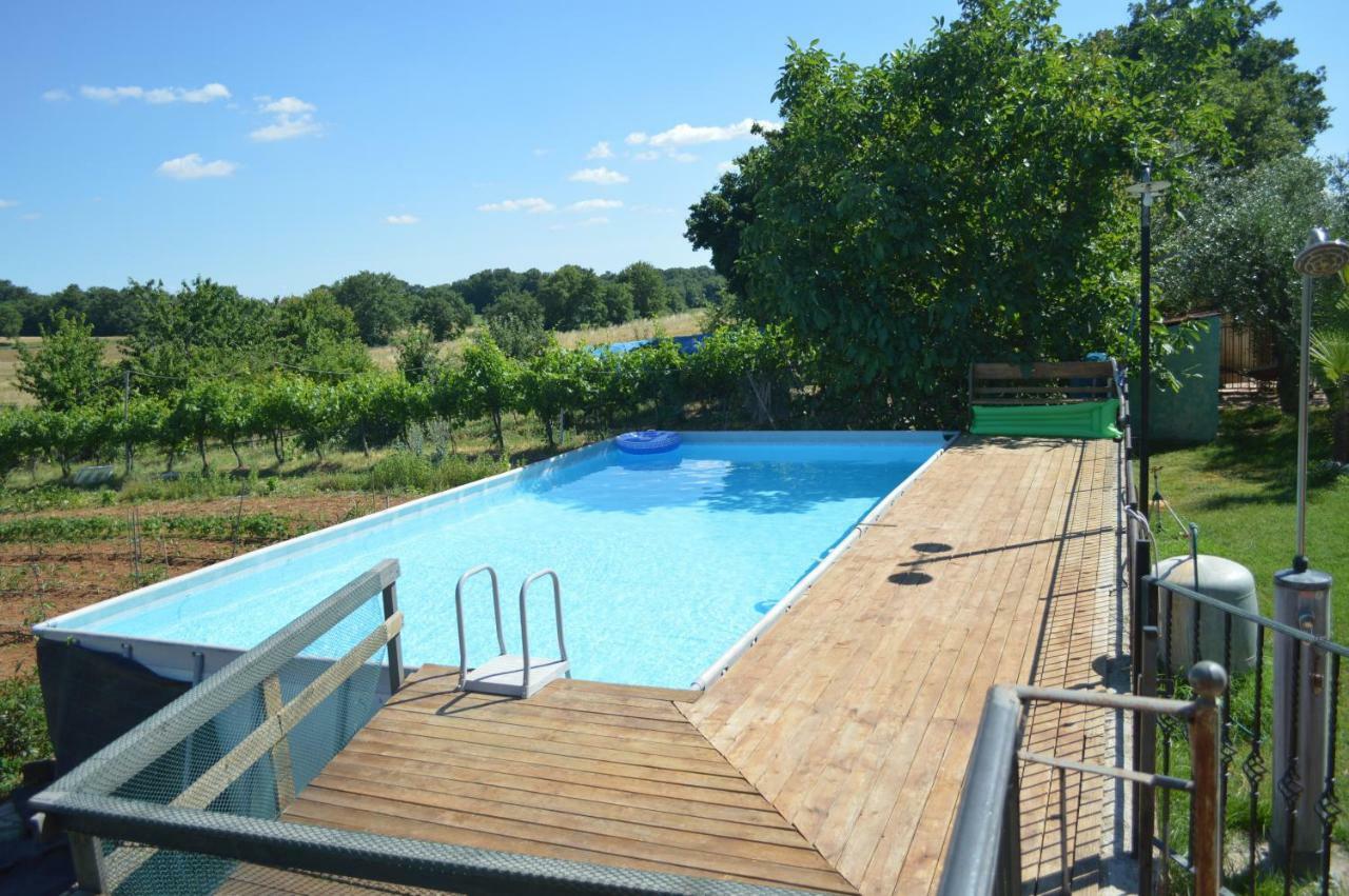 Magnolie Apartamento
