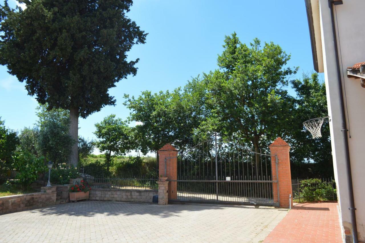 Magnolie Apartment Castiglion Fiorentino