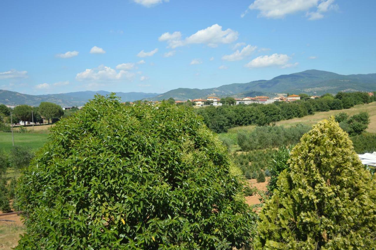 Magnolie Castiglion Fiorentino