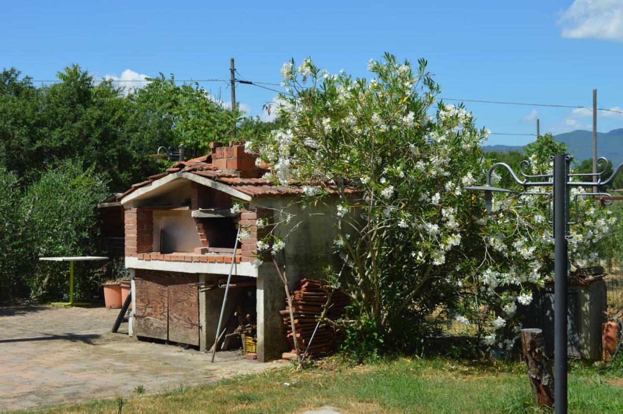 Apartment Magnolie